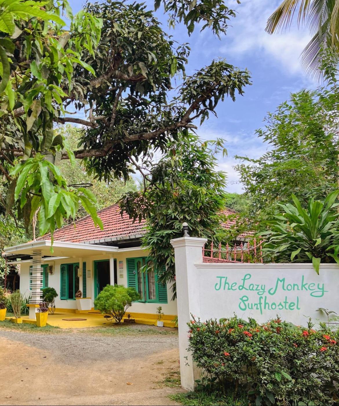 Lazy Monkey Surfhostel - Sri Lanka 디크웰라 외부 사진