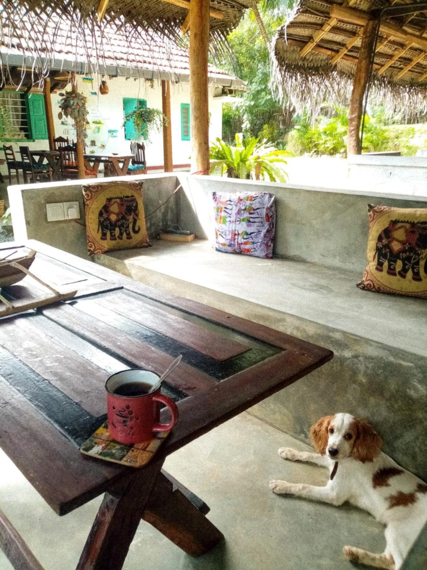 Lazy Monkey Surfhostel - Sri Lanka 디크웰라 외부 사진