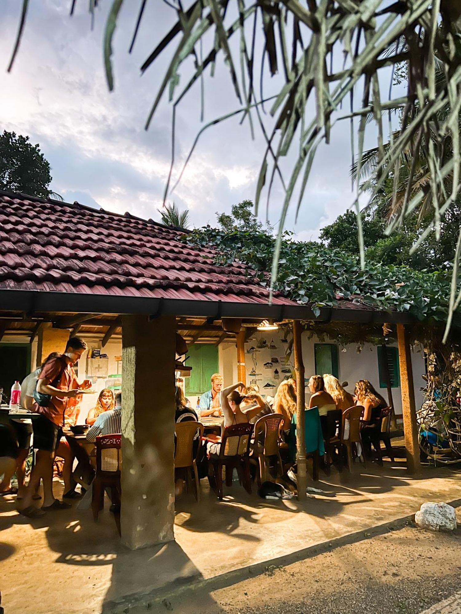 Lazy Monkey Surfhostel - Sri Lanka 디크웰라 외부 사진
