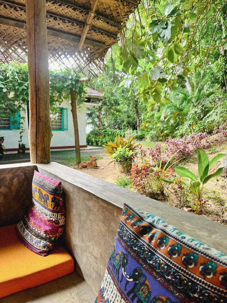 Lazy Monkey Surfhostel - Sri Lanka 디크웰라 외부 사진