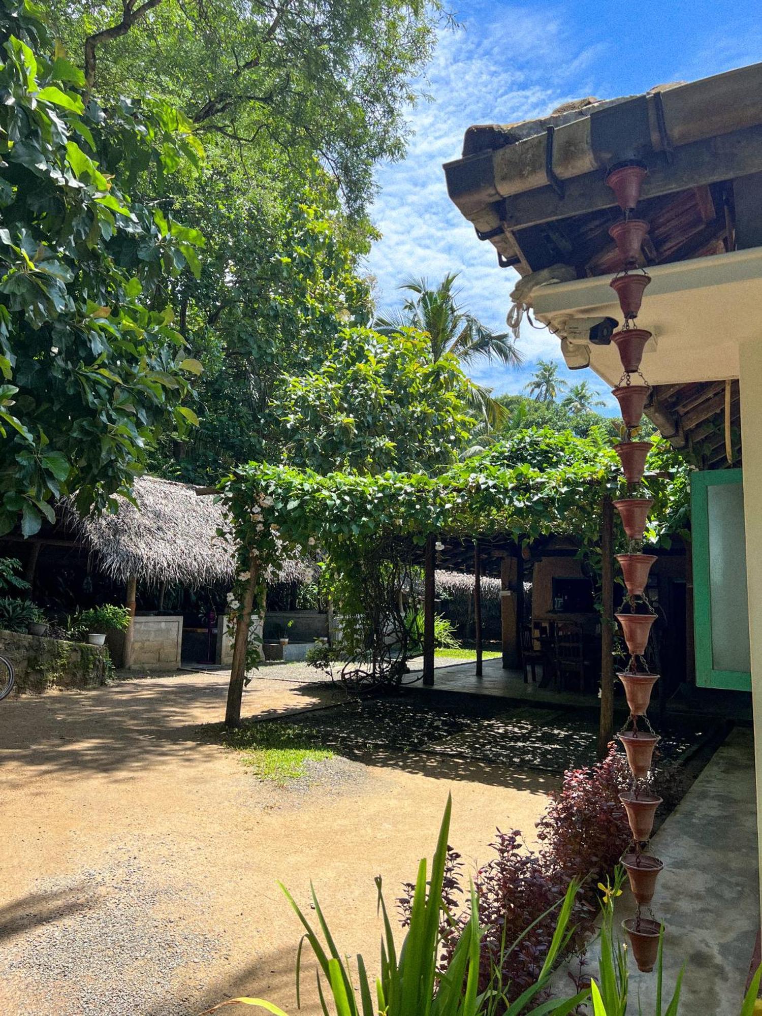 Lazy Monkey Surfhostel - Sri Lanka 디크웰라 외부 사진