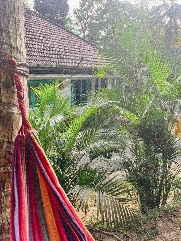 Lazy Monkey Surfhostel - Sri Lanka 디크웰라 외부 사진