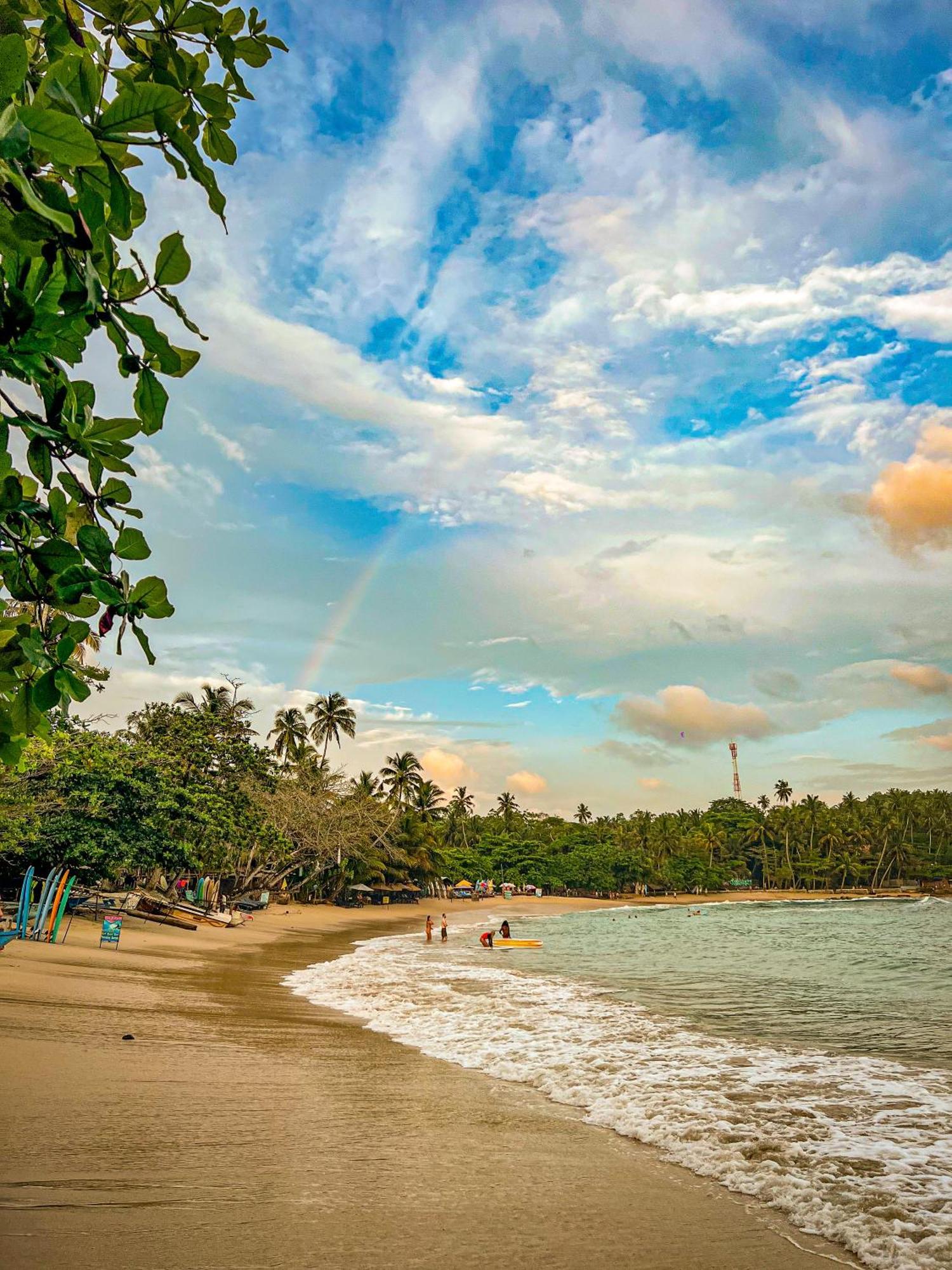 Lazy Monkey Surfhostel - Sri Lanka 디크웰라 외부 사진